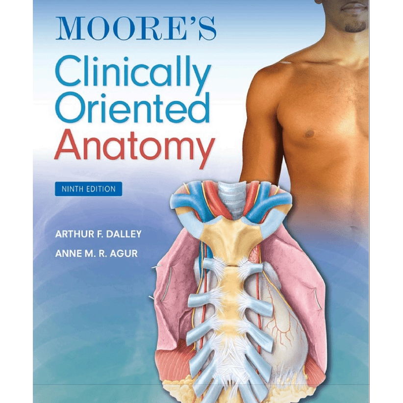 Moore's Clinically Oriented Anatomy - 9th Edition (Revised) - Paramedic Shop
