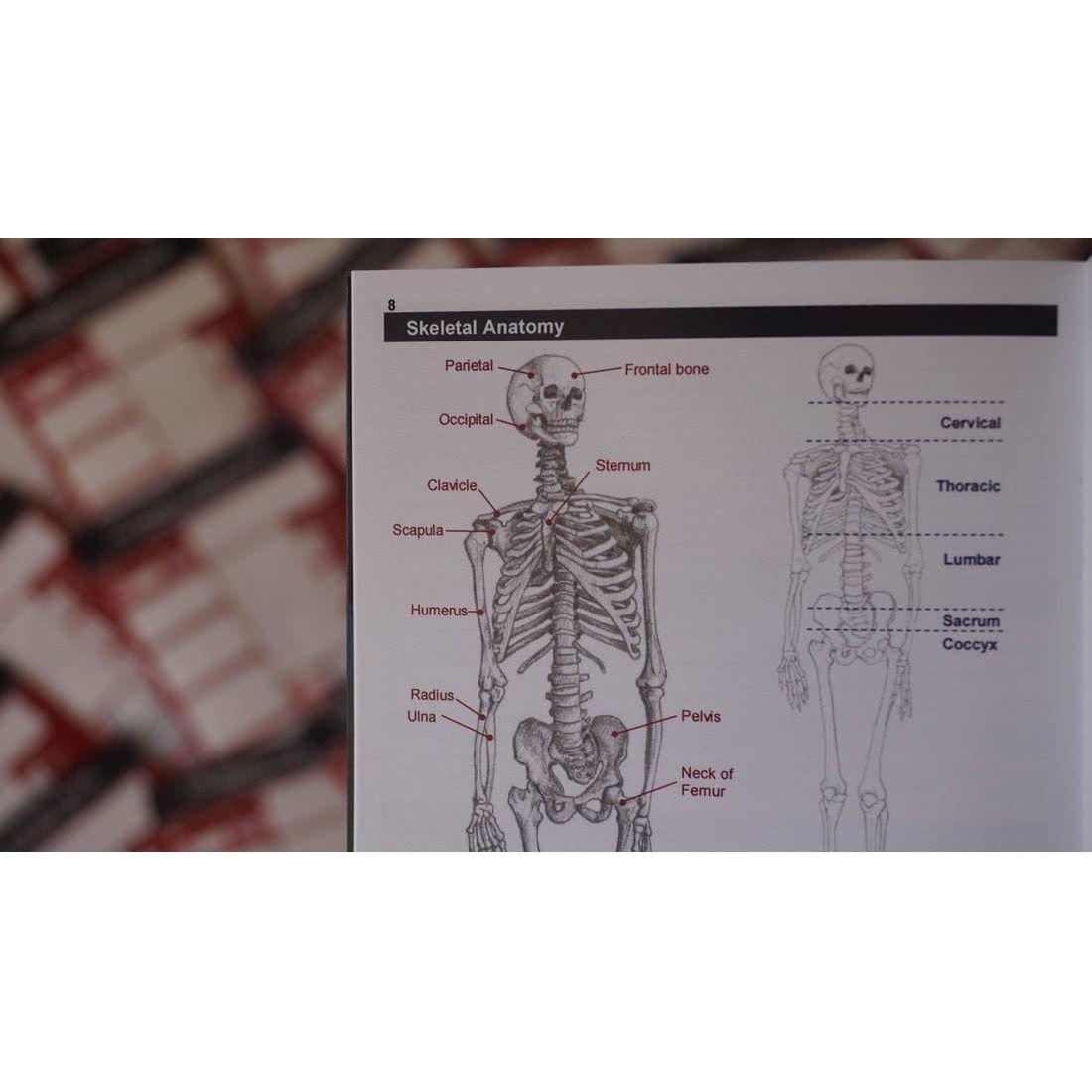 Paramedic Pocket Book - Paramedic Shop