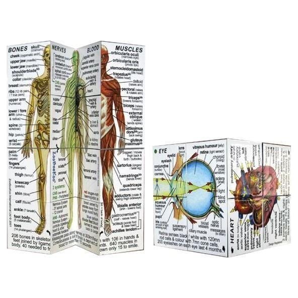 ZooBooKoo Human Body Cube - Paramedic Shop